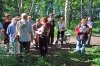 Идет активный сбор подписей в защиту Краснообского леса