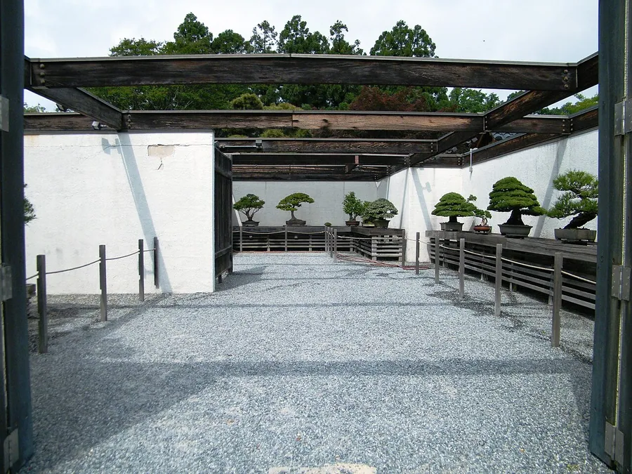Display hall at National Bonsai & Penjing Museum at the United States National Arboretum.. Фото: Sarah…