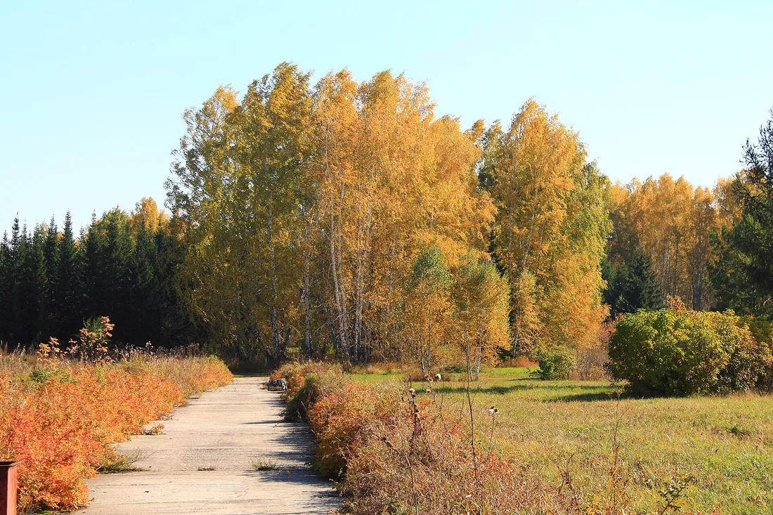 Краснообск, Новосибирский район. Фото: zeleninsam / CC BY 3.0, via Wikimedia Commons