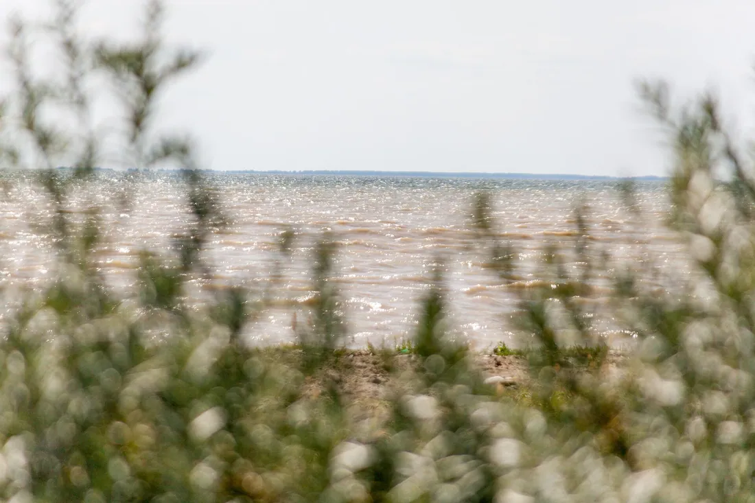 Обское море. Фото: L-BBE / CC BY 3.0, via Wikimedia Commons