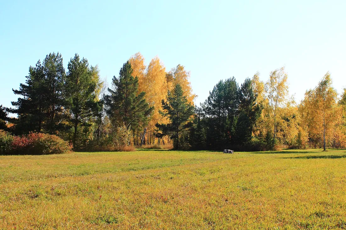 Краснообск, Новосибирский район. Фото: zeleninsam / CC BY 3.0, via Wikimedia Commons