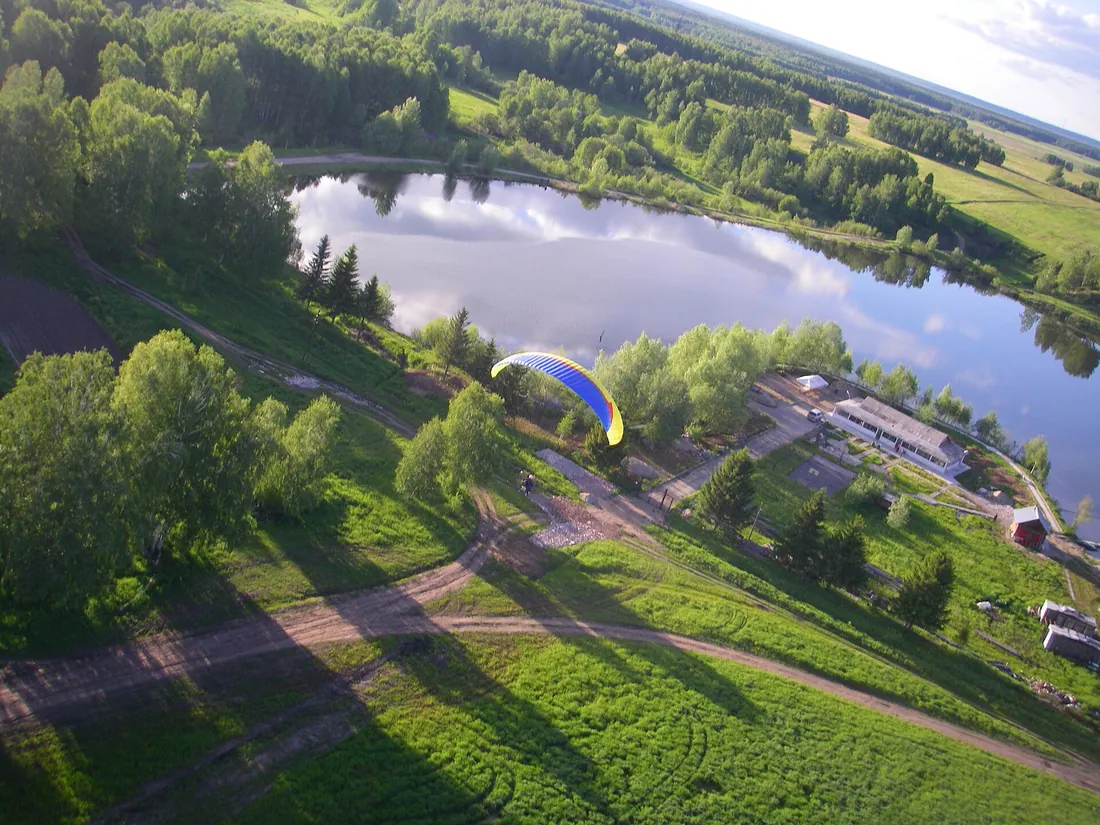 Лес в Новосибирском районе. Фото: Director-nsk / CC BY 3.0, via Wikimedia Commons