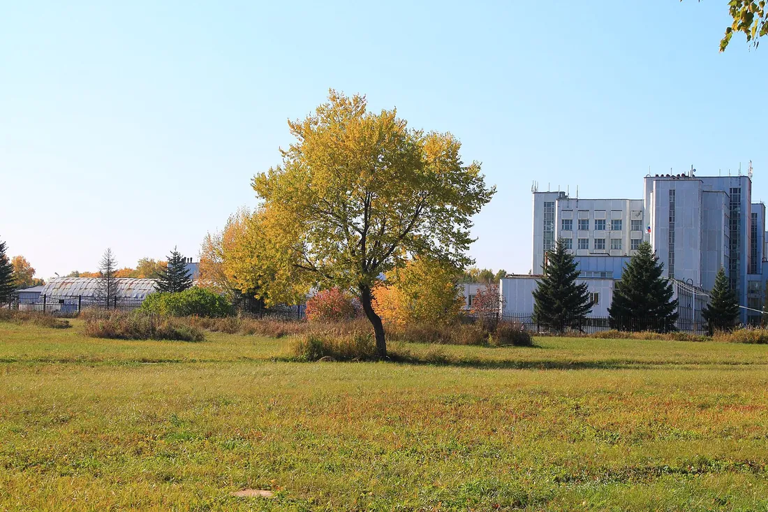Краснообск, Новосибирский район. Фото: zeleninsam / CC BY 3.0, via Wikimedia Commons