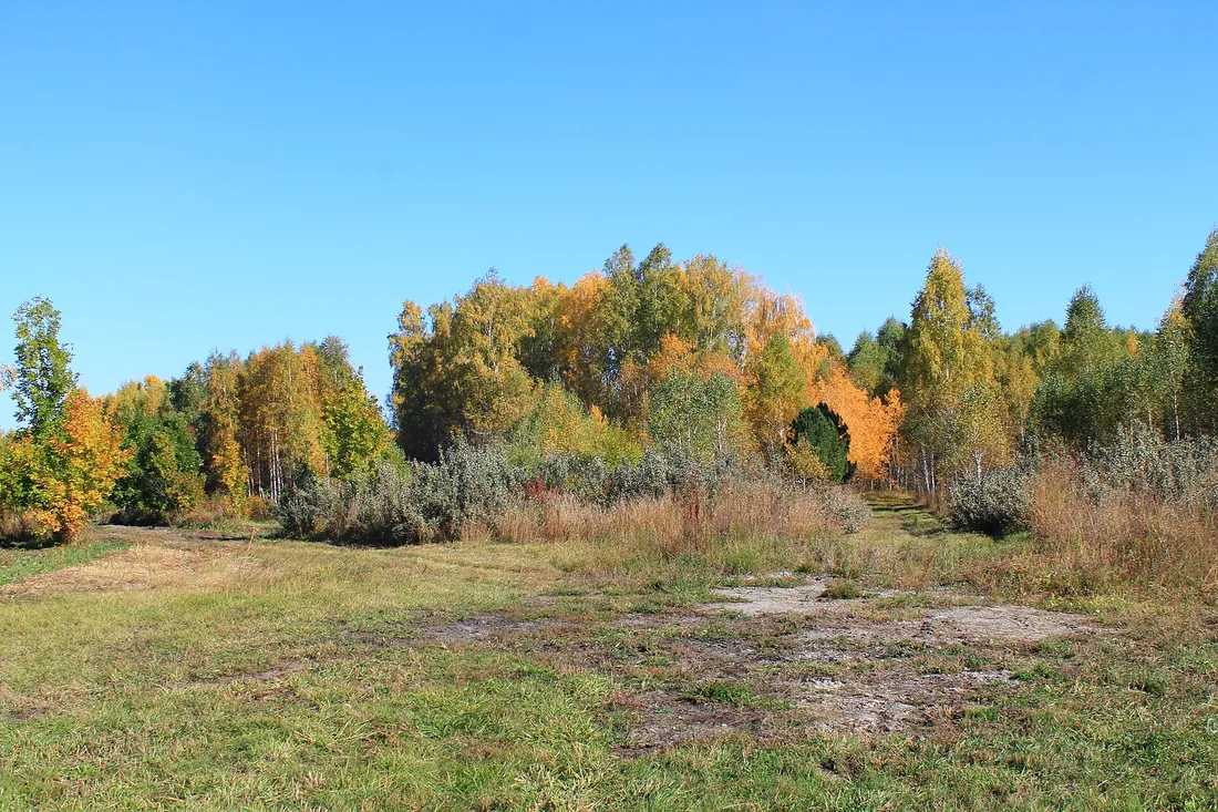 Краснообск, Новосибирский район. Фото: zeleninsam / CC BY 3.0, via Wikimedia Commons