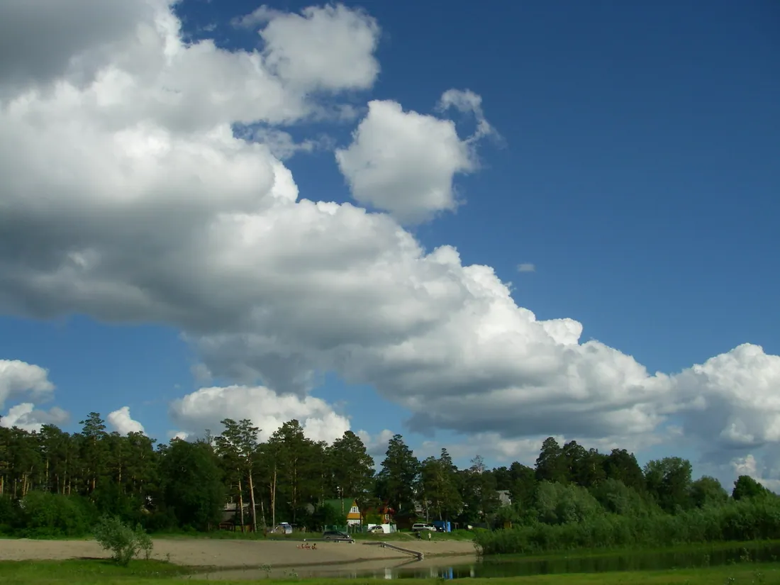 Садовые общества Новосибирского района. Фото: Director-nsk / CC BY 3.0, via Wikimedia Commons