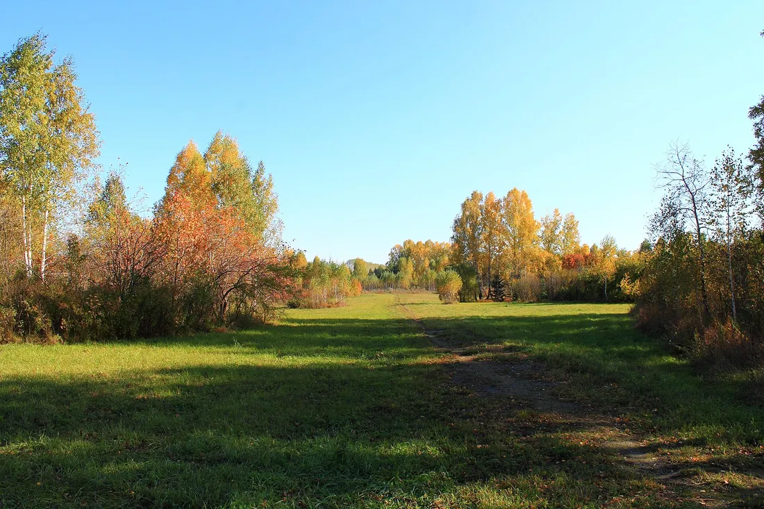 Novosibirsky District, Novosibirsk Oblast, Russia. Фото: zeleninsam / CC BY 3.0, via Wikimedia Commons