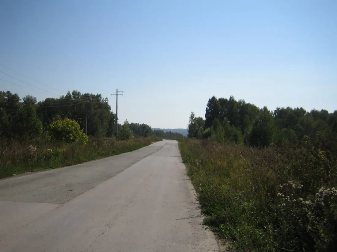 Дорога в Новосибирском районе. Фото: sergfokin / CC BY-SA 3.0, via Wikimedia Commons