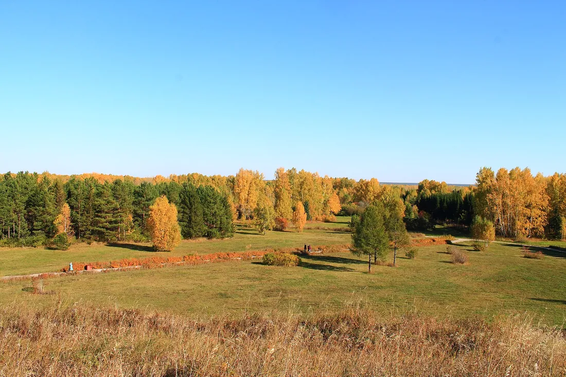 Краснообск, Новосибирский район. Фото: zeleninsam / CC BY 3.0, via Wikimedia Commons