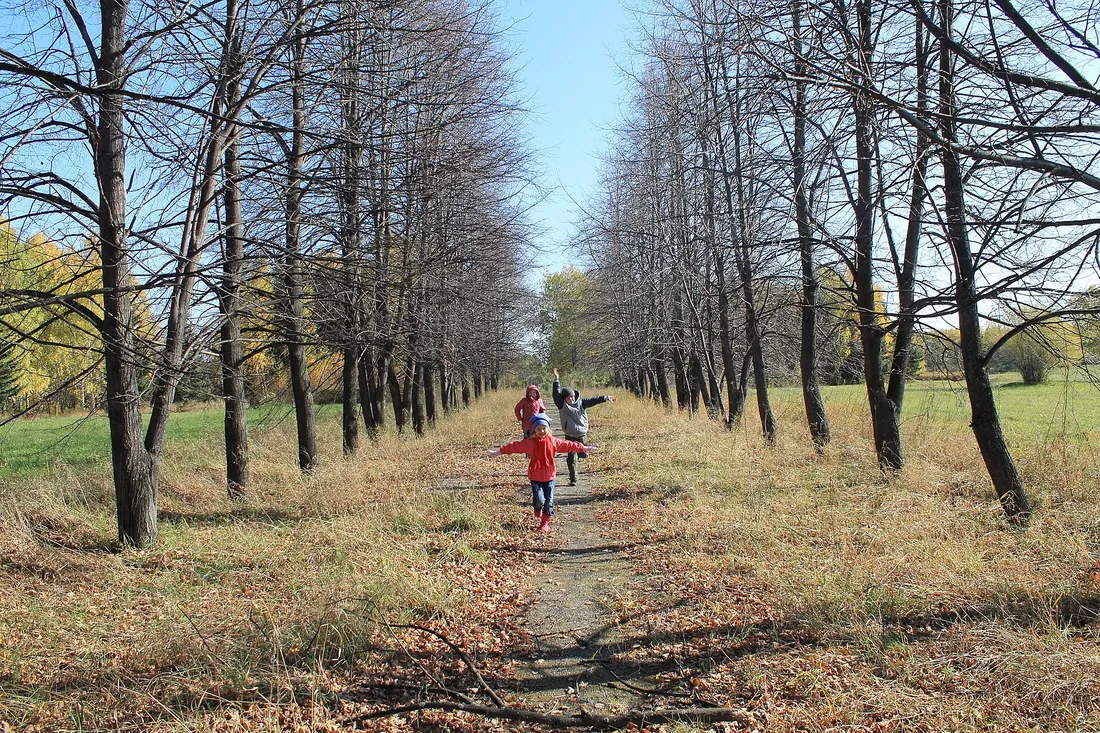 Краснообск, Новосибирская область. Фото: zeleninsam / CC BY 3.0, via Wikimedia Commons