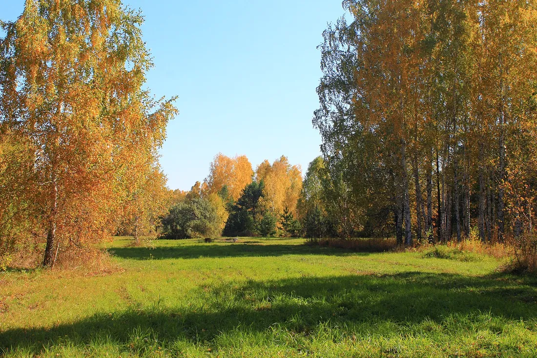 Краснообск, Новосибирский район. Фото: zeleninsam / CC BY 3.0, via Wikimedia Commons