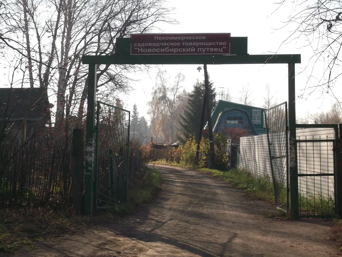Садовые общества Новосибирского района. Фото: DreaMmer / CC BY 3.0, via Wikimedia Commons