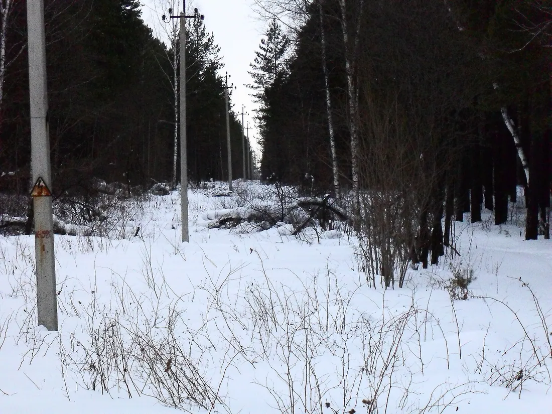 Просека на Мочище. Фото: ПлатонНик / CC BY 3.0, via Wikimedia Commons