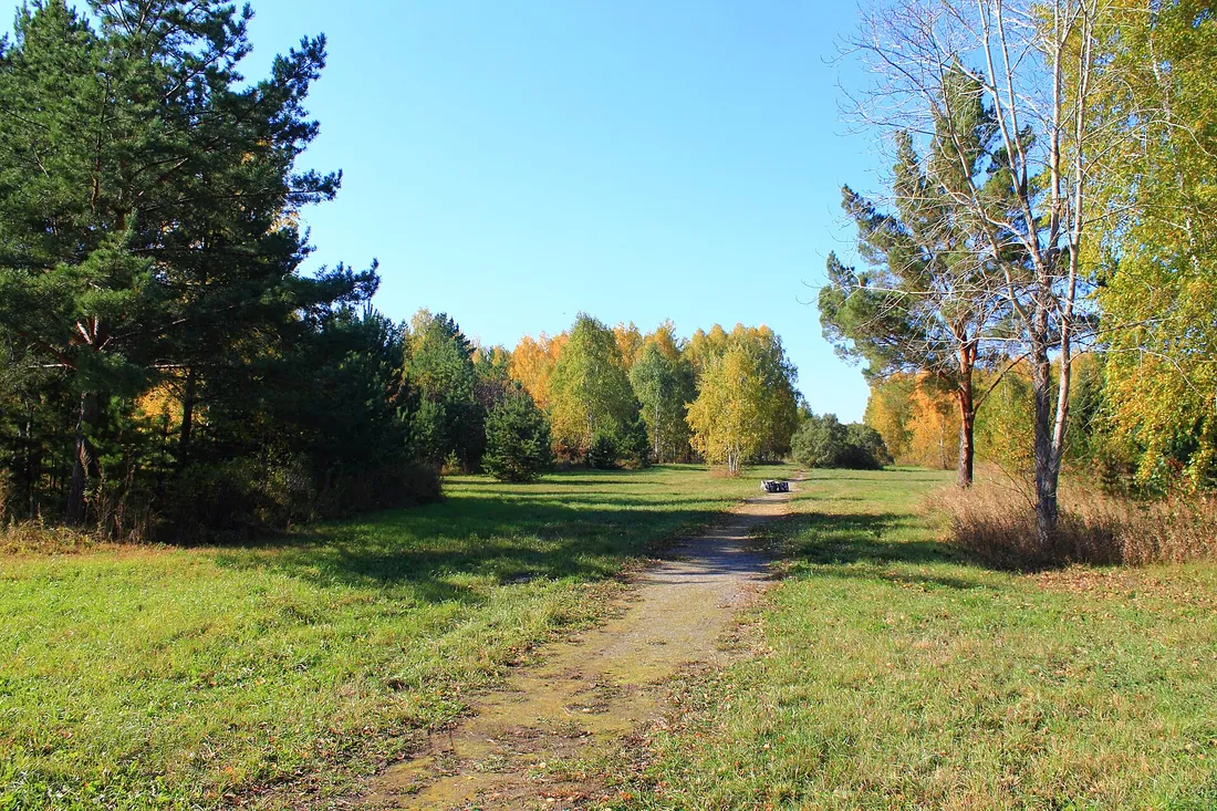 Краснообск, Новосибирский район. Фото: zeleninsam / CC BY 3.0, via Wikimedia Commons