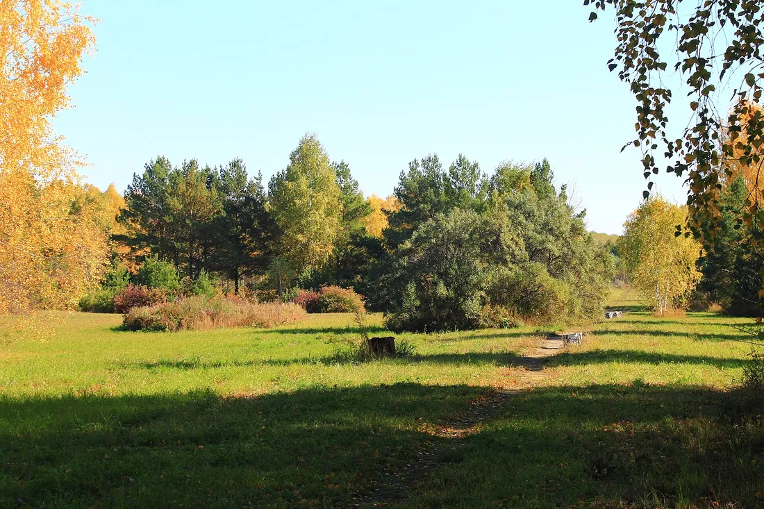 Краснообск, Новосибирский район. Фото: zeleninsam / CC BY 3.0, via Wikimedia Commons