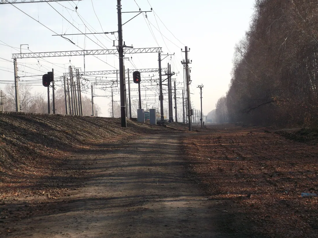Дорога в Новосибирском районе. Фото: DreaMmer / CC BY 3.0, via Wikimedia Commons