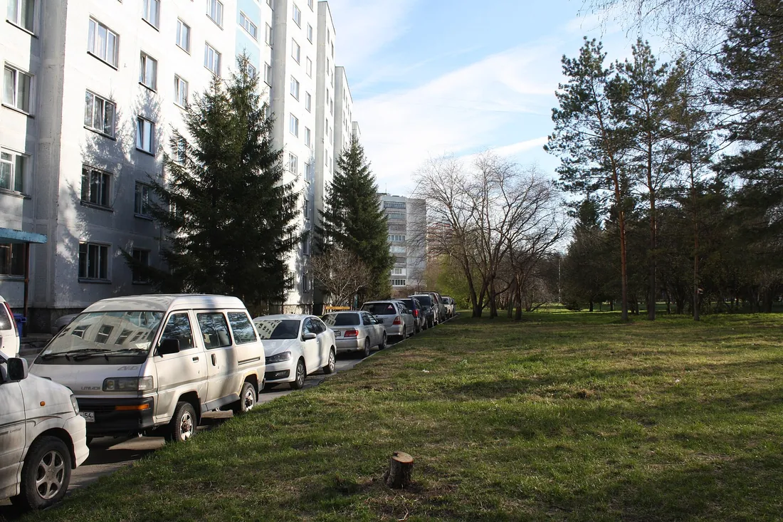 Улица Краснообска. Фото: К.Артём.1 / CC BY-SA 4.0, via Wikimedia Commons
