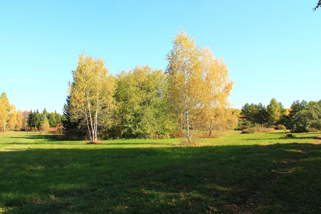 Краснообск, Новосибирский район. Фото: zeleninsam / CC BY 3.0, via Wikimedia Commons