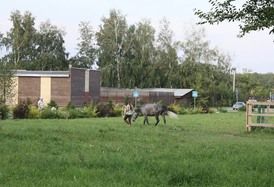 Краснообск, Новосибирский район. Фото: К.Артём.1 / CC BY-SA 4.0, via Wikimedia Commons