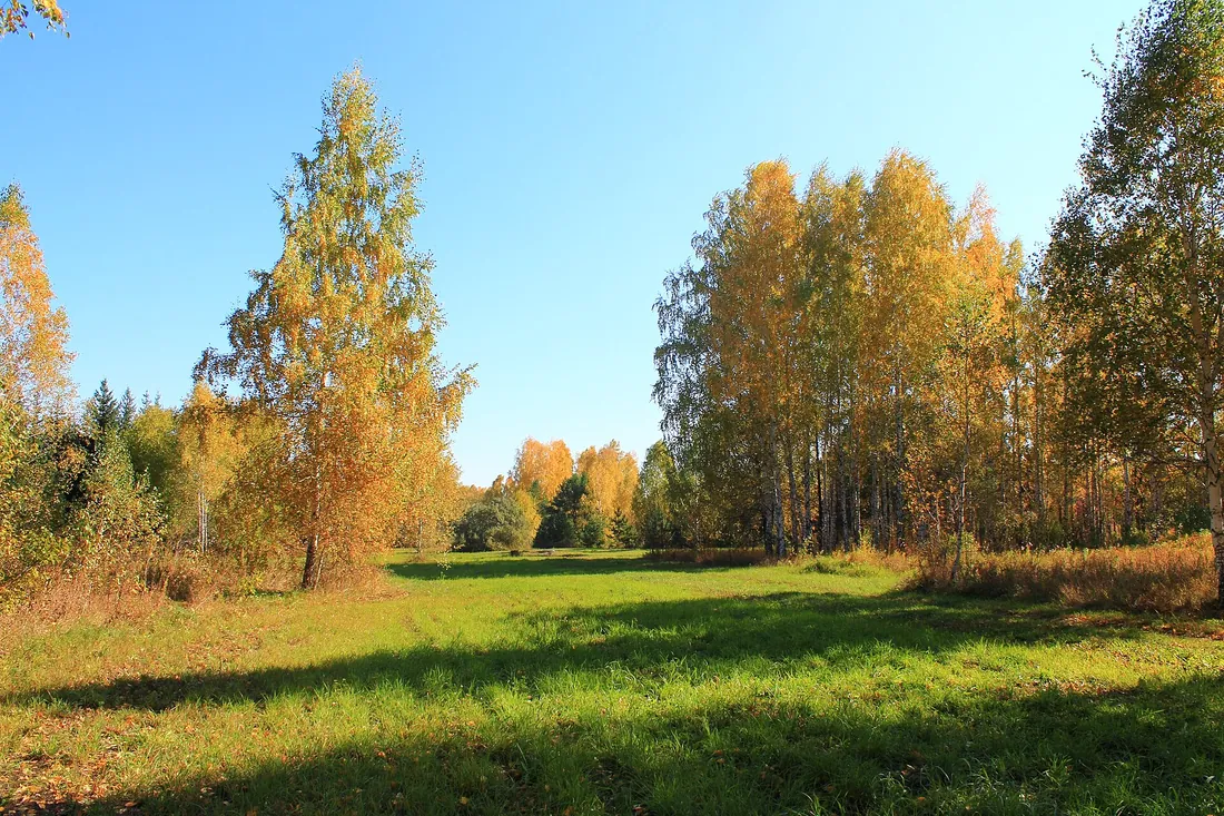 Краснообск, Новосибирский район. Фото: zeleninsam / CC BY 3.0, via Wikimedia Commons