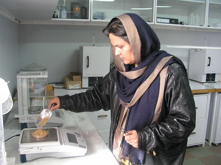 An Afghan woman working measuring seeds at the Agricultural Research Laboratory in Afghanistan.. Фото…