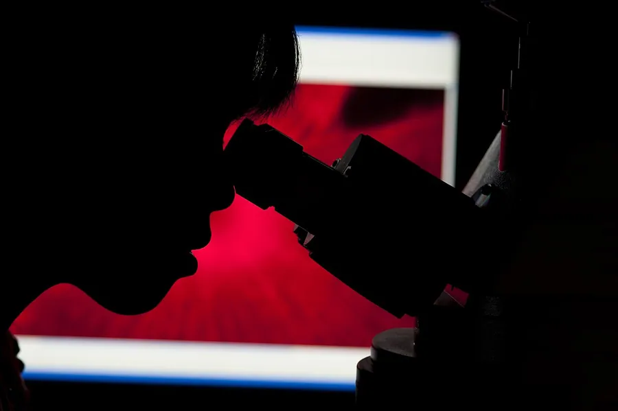 A researcher looking through a microscope.. Фото: National Eye Institute / CC BY 2.0, via Wikimedia Commons