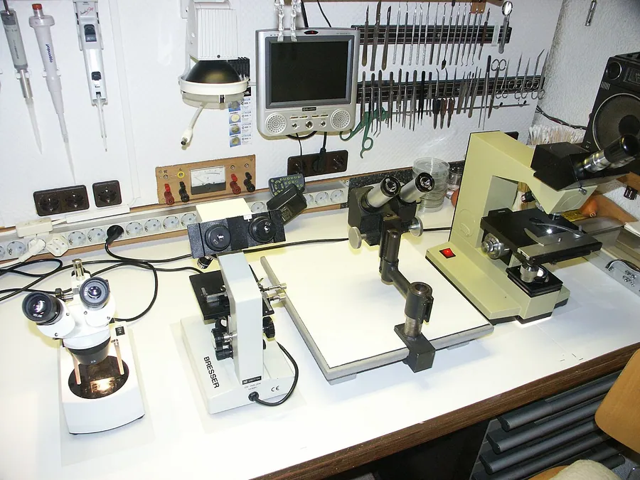 Amateur Microscopy Laboratory - Microscopes. Фото: R G from siehe oben, Bayern / CC BY 2.0, via Wikimedia…