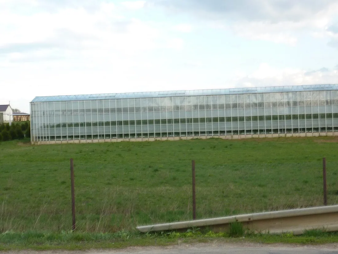 Oborín - Greenhouses for growing vegetables and flowers at the municipal farm in Oborín, southern end of the…