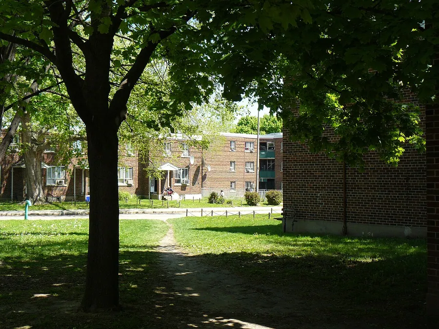 This series may be quite boring for anyone not living in Toronto! Toronto's Regent Park neighbourhood was…
